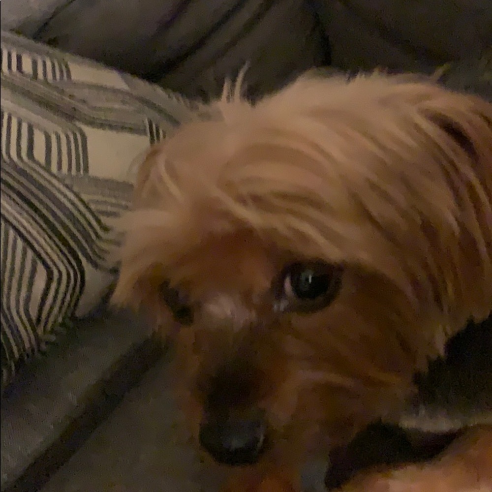 Meet your Posher, Aw